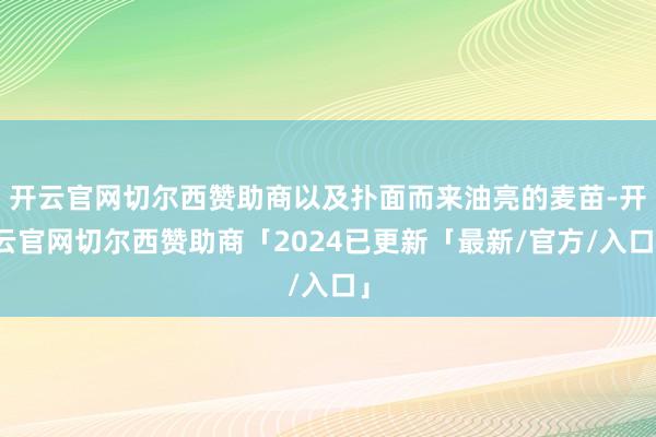开云官网切尔西赞助商以及扑面而来油亮的麦苗-开云官网切尔西赞助商「2024已更新「最新/官方/入口」