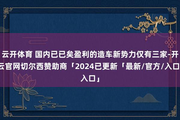 云开体育 国内已已矣盈利的造车新势力仅有三家-开云官网切尔西赞助商「2024已更新「最新/官方/入口」