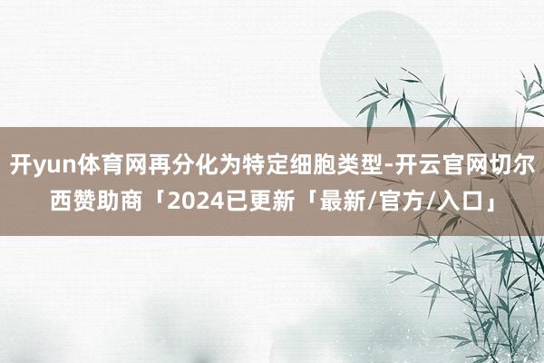 开yun体育网再分化为特定细胞类型-开云官网切尔西赞助商「2024已更新「最新/官方/入口」